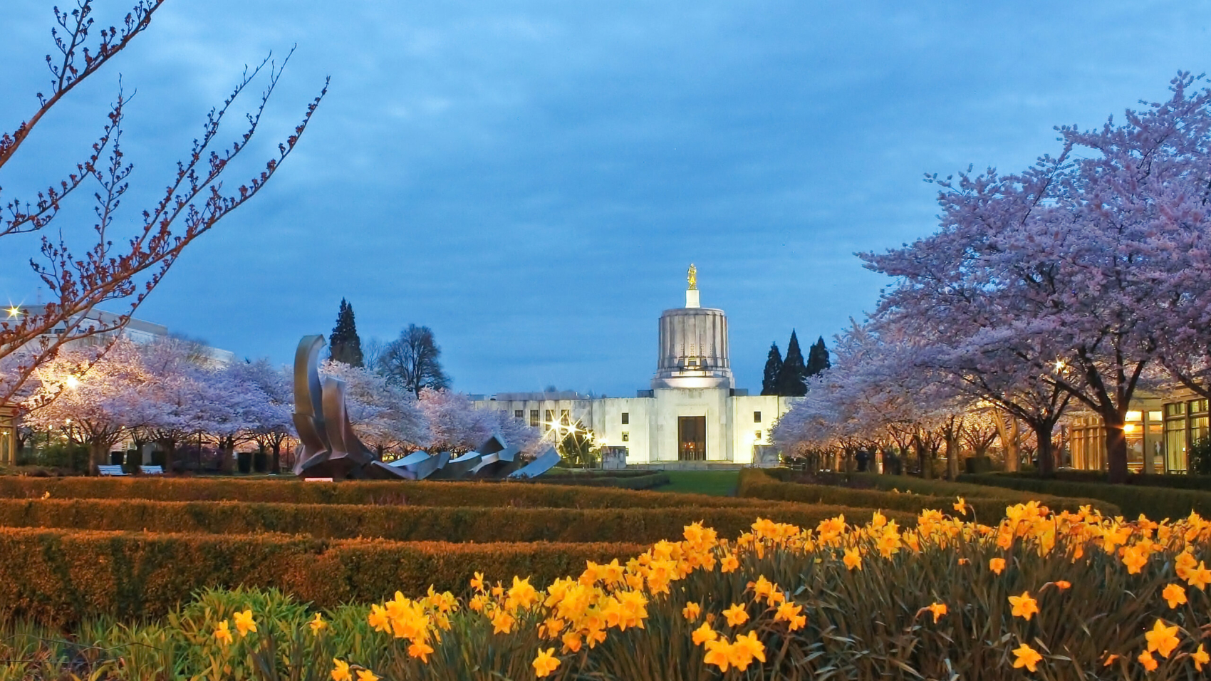 Oregon Capitol Building in dusk viewing from the city park in tree blooming season