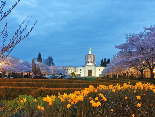 Oregon Capitol Building in dusk viewing from the city park in tree blooming season